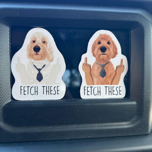 Custom Funny Pet Hand Photo Stickers 4