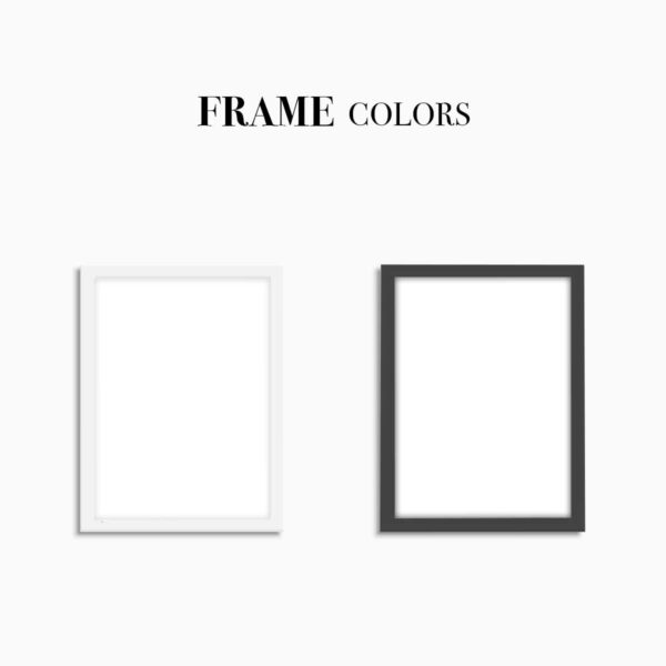 Frame Color